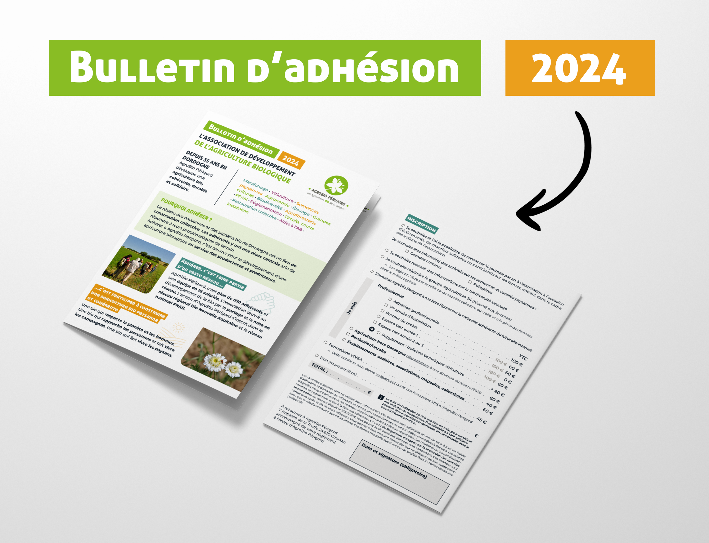 Bulletin d'adhsion 2024